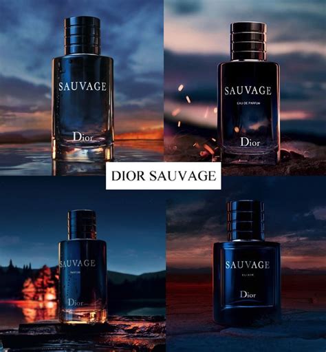 dior sauvage different types|More.